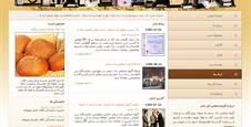 بهینه سازی سایت گروه صنعتی نان سحر